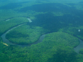 Verborgen klimaatbom in Congo wordt beschreven in 'koolstofkoorts'