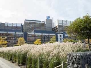 Kans op afstoten donornier wordt verkleind door baanbrekend onderzoek