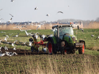 Boeren zitten klem: 'Zoveel willen verandering maar het wordt onmogelijk gemaakt'