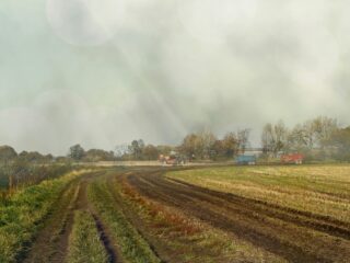 Baanbrekend onderzoek: glyfosaat is kankerverwekkend