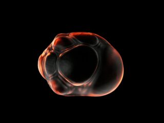 ‘De mens is geen muis’: waarom het gesprek over voortplanting niet alleen aan wetenschappers is