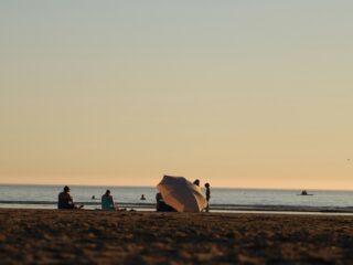Van een reuzenhaai, tot een mini-kwal: de Noordzee is heel divers