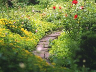 Stenen eruit, groen erin: wie gaat naar huis met de Steenbreektrofee 2023?