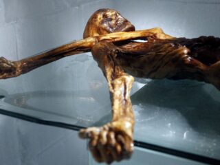 Wetenschappers reconstrueren vijfduizend jaar oude tatoeages van Ötzi de sneeuwmummie