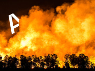 Toename natuurbranden bedreiging voor zorg en recreatie in het bos