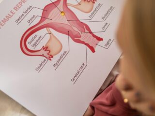 Spijt van sterilisatie?! Waarom we het daar NIET over moeten hebben