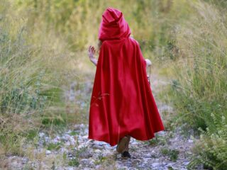 Iets wat jij niet wist: Roodkapje gaat over seks