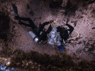Ichelles lichaam werd in stukken teruggevonden in het kanaal