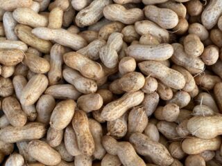 Poeppillen als behandeling tegen pinda-allergie: hoe werkt dat?
