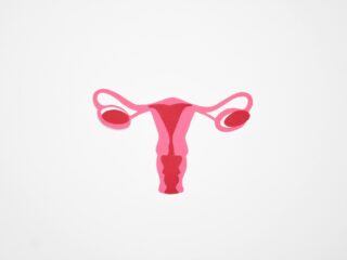 Ivf? Geen Vragen. Sterilisatie? Eerst vier artsen en een psycholoog