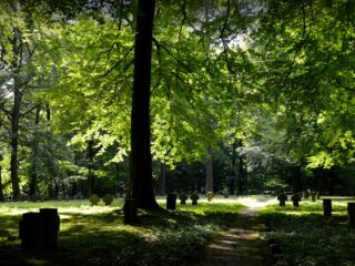 Hoe wetenschappelijke begraafplaatsen misdaden helpen oplossen: 'natuur kan een moordenaar verlinken'