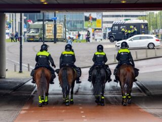 Waarom maakt de politie nog altijd gebruik van paarden?