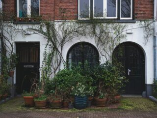 'Vanaf nu was ik die nieuwe buurvrouw: een yup met schijt aan biodiversiteit'