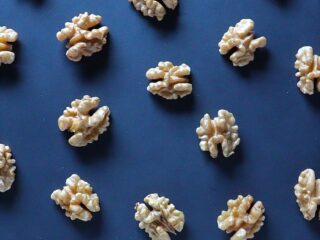 Nederlands brein vormt basis voor onderzoek naar hersenziektes wereldwijd