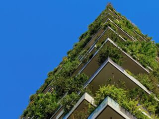 Hoe groener jouw wijk, des te gelukkiger je bent