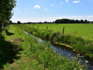 Jelle Reumer bij Vroege Vogels: 'De agrisector maakt meer kapot dan je lief is'