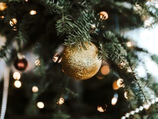 Kerstbomen kunnen na gebruik nog heel nuttig zijn voor de natuur