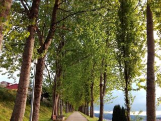 Waarom het niet altijd slecht is om op te geven