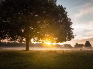 Kom mee naar buiten, zegt Begijn le Bleu: 'Ik wil terug oplossingen zien door te leren van de natuur'