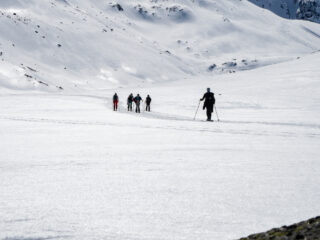 Nepsneeuw: afscheid van de winter
