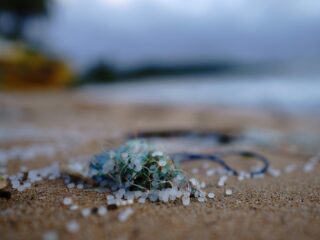 'De mens verziekt de leefomgeving en vervolgens verziekt de leefomgeving de mens'