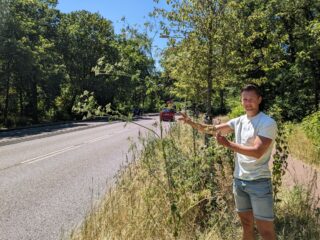 Filosofendoder rukt op langs snelweg