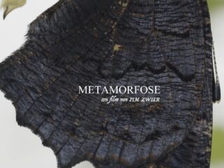 Metamorphosis: natuurfilm of kostuumdrama?