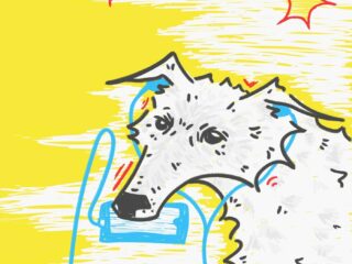 Hoe vrij zijn honden anno 2026?