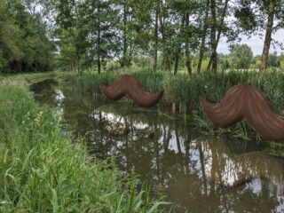 Snor laten staan: dat helpt de biodiversiteit!