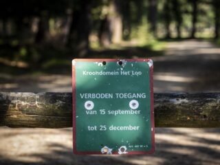 Natuurgebieden afgesloten om te beschermen tegen recreanten: 'Natuur heeft te lijden'