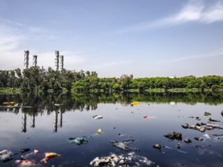 Hoop in tijden van ecocide