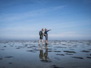 Wadden niet goed beschermd: 'Constante discussie tussen economie en ecologie'