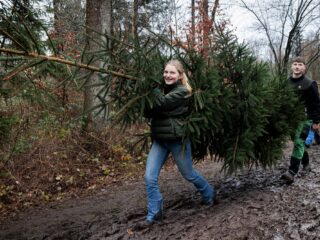 Wordt het een warme of witte kerst? 'Best bizar, het lijkt eerder lente dan december'