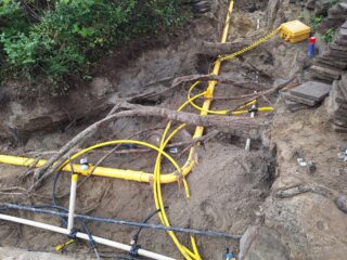 Het is druk onder de grond: bomen, kabels en leidingen vechten om ruimte in de stad