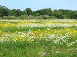 'Geniet vooral van de voorjaarszon, maar weet ook dat het een twijfelachtig genoegen is'