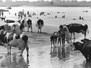 De ongeëvenaarde hittegolf van 1976