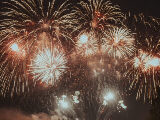 Miljoenen vogels in Nederland hebben jaarlijks last van vuurwerk rond Oud en Nieuw