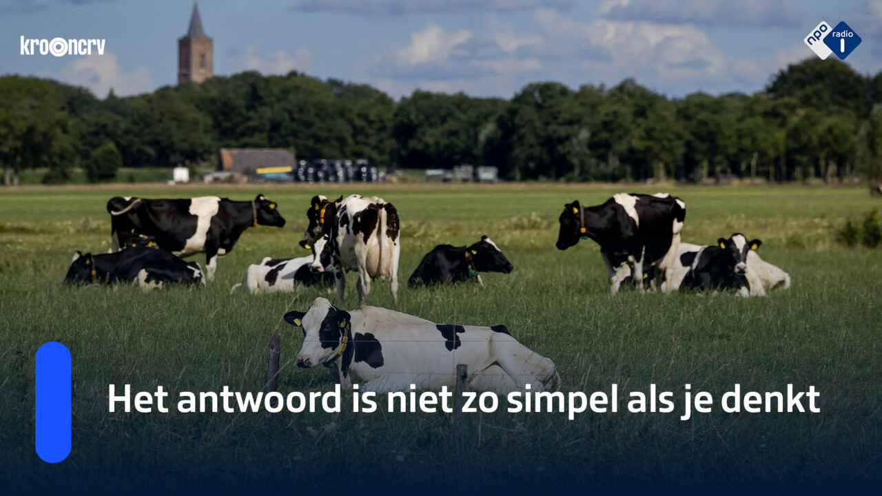 Wat is gezonder: wonen in een stad of op het platteland? | NPO Radio 1