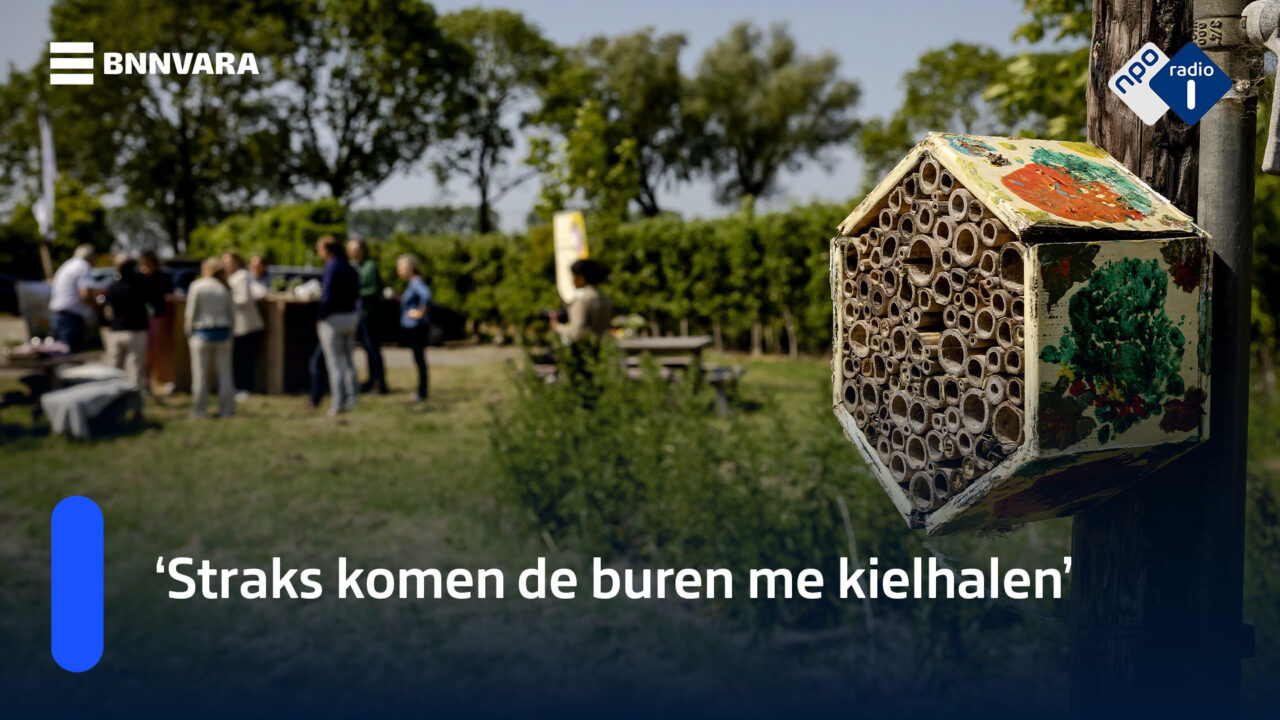 'Vanaf nu was ik die nieuwe buurvrouw met die onderhoudsvrije tuin, een
