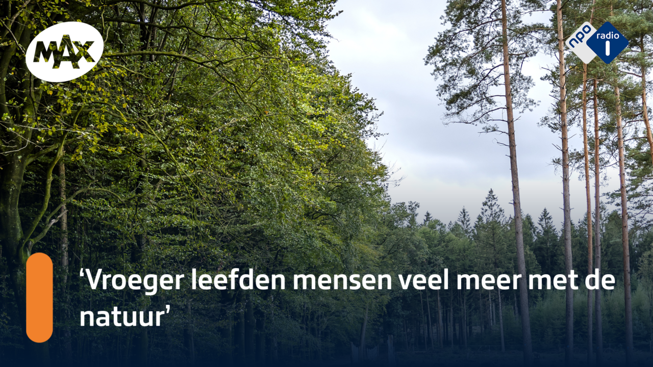 Terug naar de zon: Wilma de Rek over Rust, Reinheid en Regelmaat | NPO