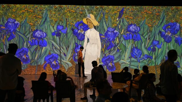 Vincent van Gogh moet meer geprezen worden door natuurorganisaties