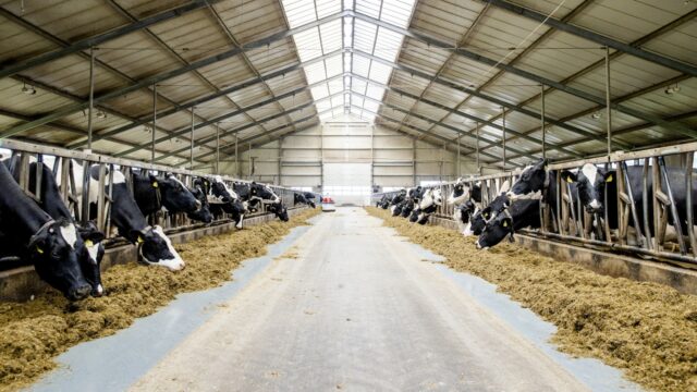 Nederlandse natuur holt achteruit, echter niet alleen door stikstof