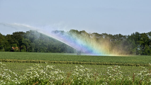 'Nederland wordt steeds vaker een droogteland'