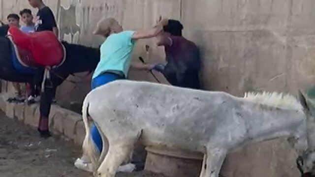 Nederlandse ging Egyptische man te lijf die ezel sloeg: 'Toen knapte er iets bij mij'
