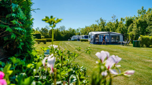 'Verroompotisering moet stoppen': campings vaker opgekocht door grote ketens