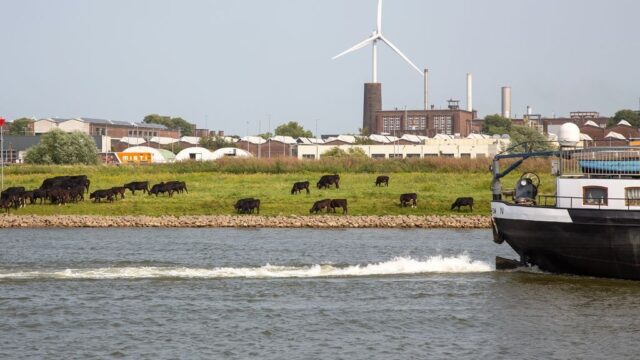 Waterbedrijven willen dat Duitsland stopt met vele PFAS-lozingen in de Rijn