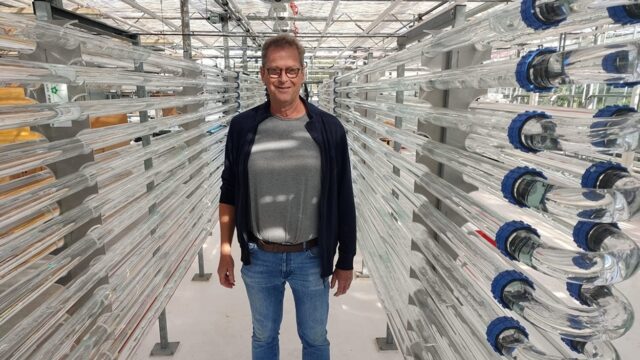Algen als proteïnen: veganistische algenmelk de toekomst?