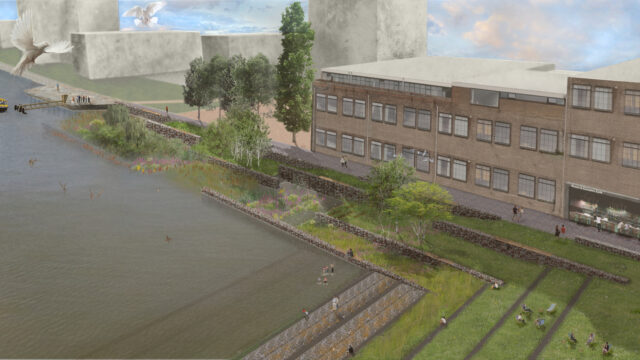 Van stenen kades in haven Rotterdam naar natuurgebied