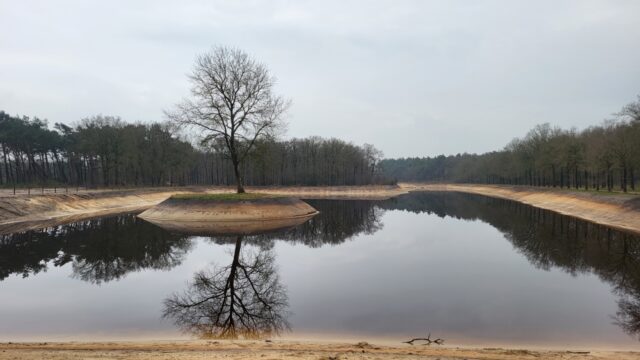 Stuk van de A27 werd omgetoverd tot een prachtig natuurgebied