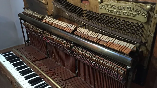 Zit muzikaliteit in je DNA?